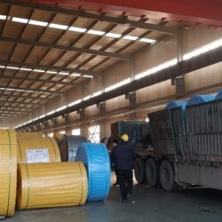 EP150 5 3+1 Y conveyor belt-3